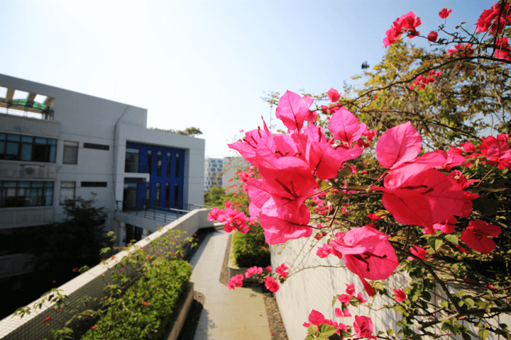 麻将胡了模拟器pg下载-麻将胡了模拟器pg下载2025最新版本